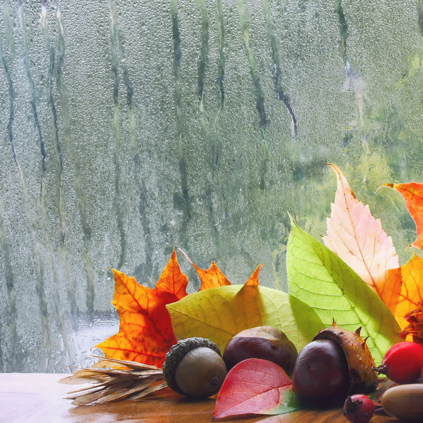 Rainy afternoon - Wood, Spices wax melt snap bar