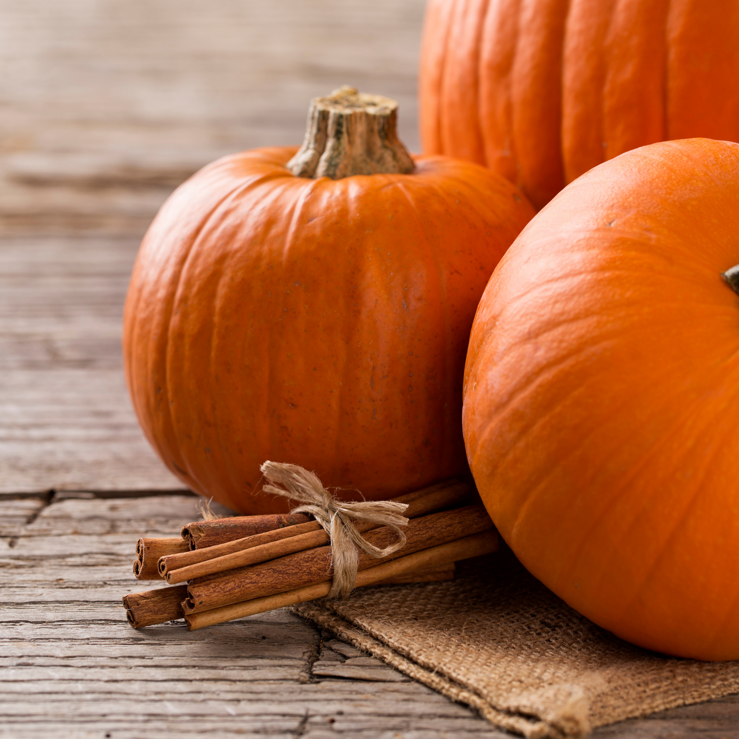 Pumpkin spice - Cinnamon, Clove, Ginger wax melt snap bar